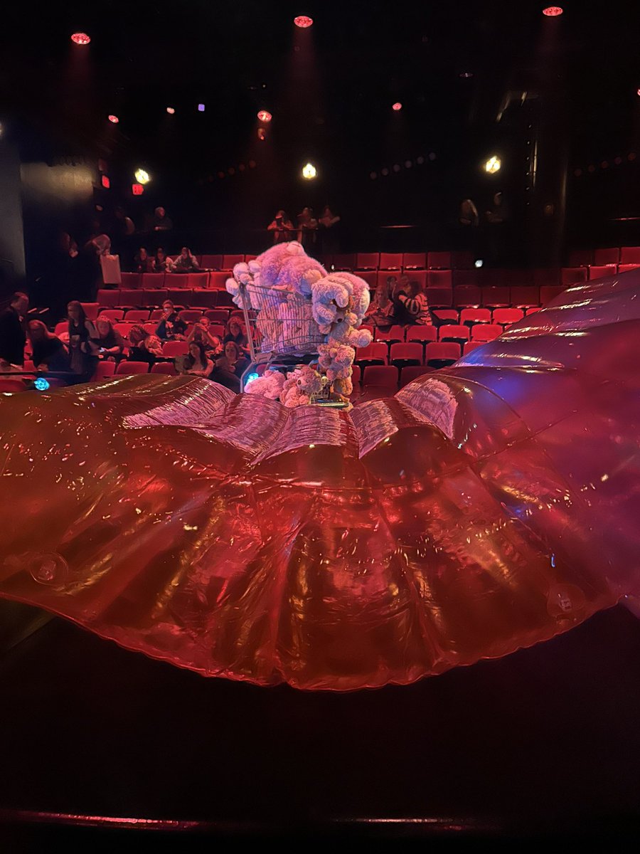 Rachel 🍂 tweet media