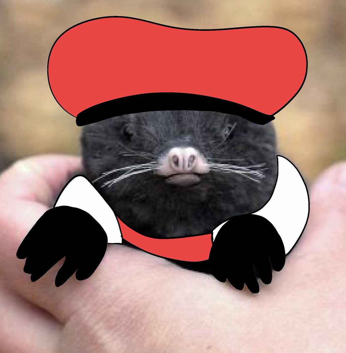 Guess who’s back 

#Robloxpiggy #piggyroblox #PiggyFanart