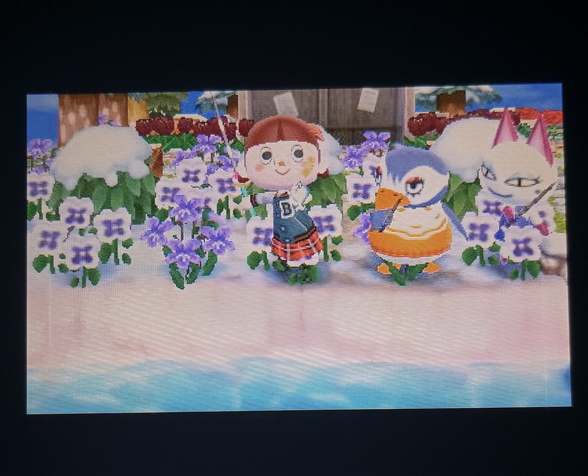 imleobich's tweet photo. Animal Crossing photo Dump 🍃🪵🍎🐱🌷🎣🌲 https://t.co/mbsvhVDSlr