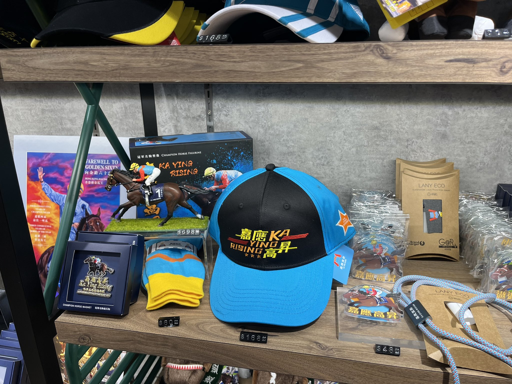 香港ディズニーランド✨レインコートシリーズ✨ジェラトーニ