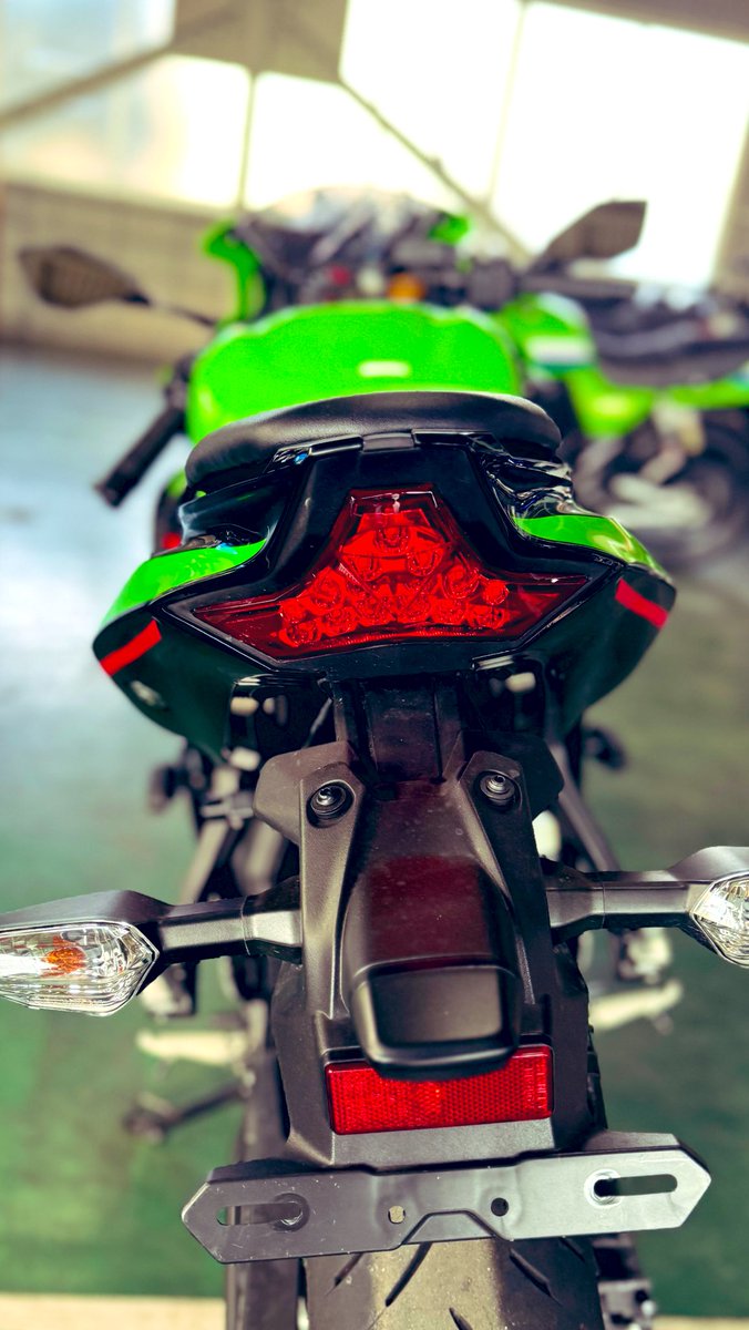 バロン様 藍職人いろいろ45 2025はる | Collection | 45R