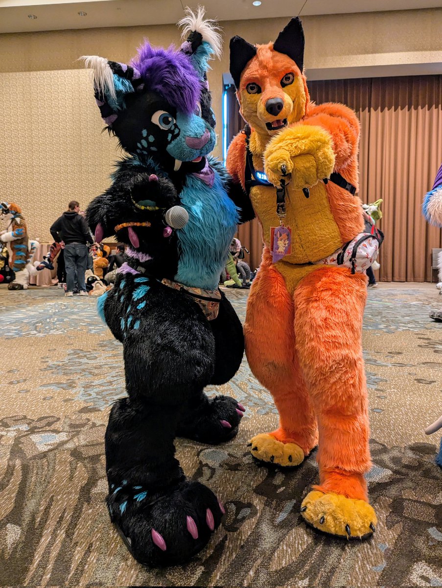 Togo Wolf tweet media