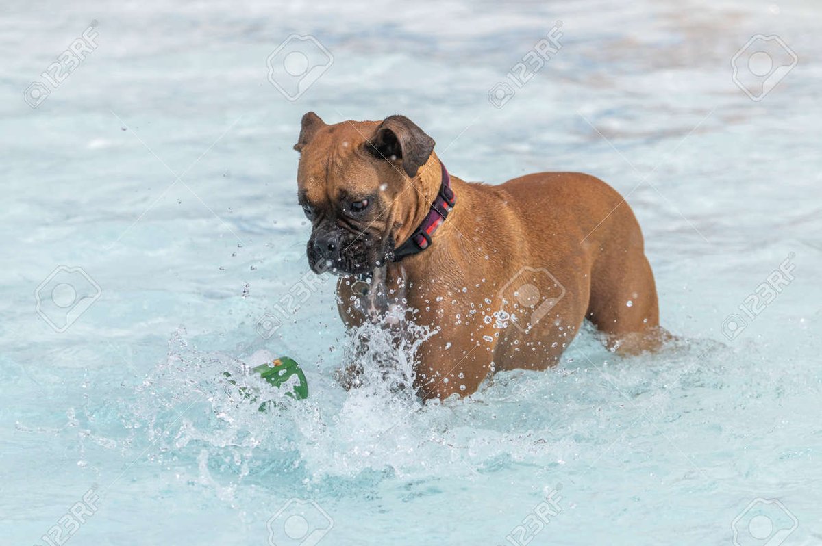 J’ai lu “boxer dans l’eau” mais j’ai compris “boxer dans l’eau”