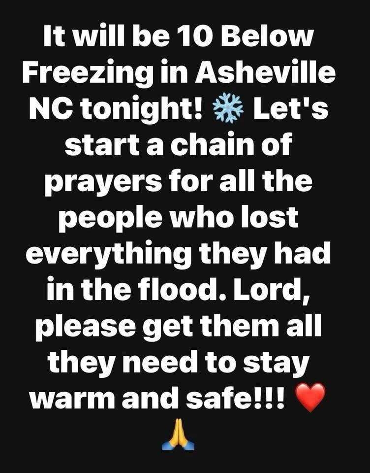 Blondelady2024 tweet media