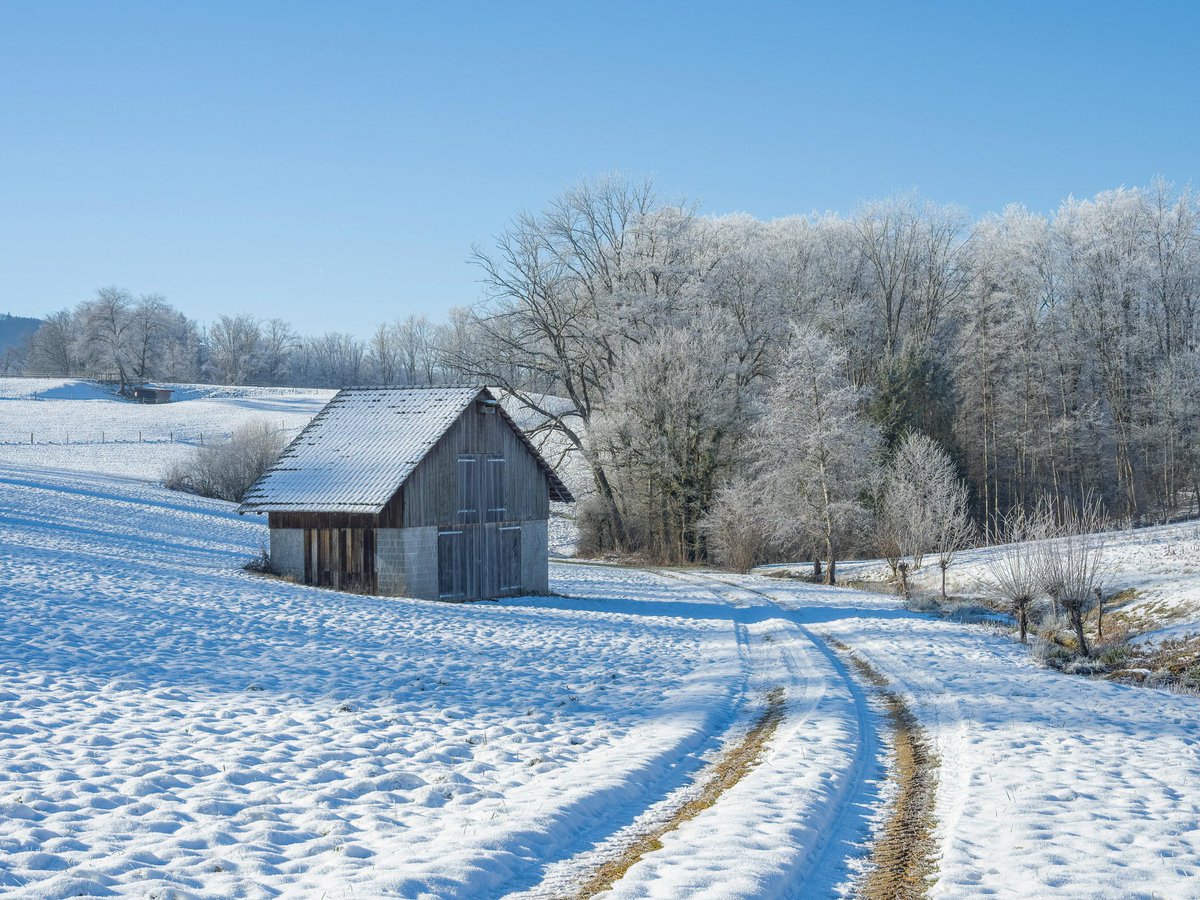 Steve58815862's tweet image. Good morning everyone. Happy Sunday 🌞☕️
#19Jan #sundayvibes #nature #naturelover #naturephotography #Wallpaper #GoodMorningEveryone