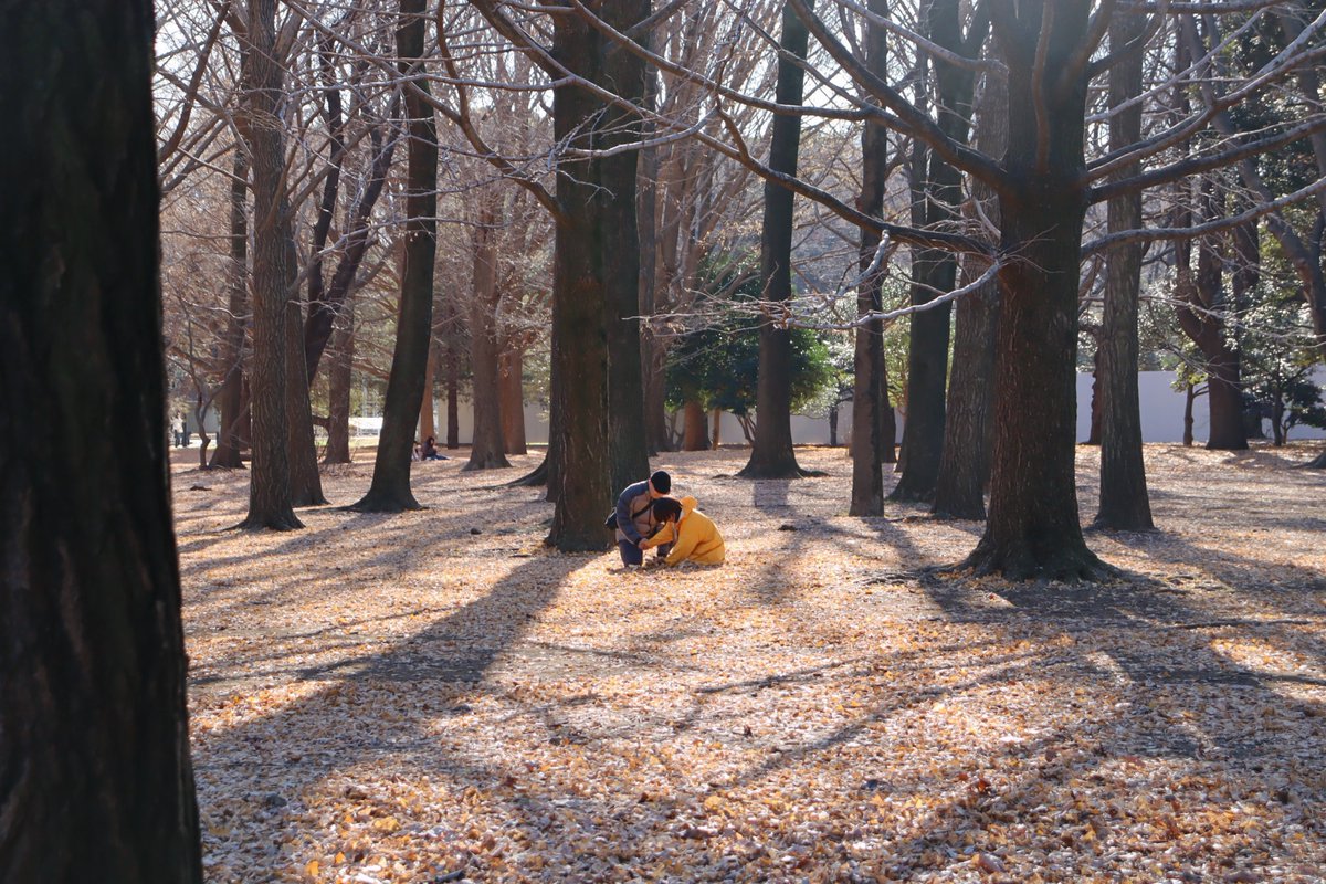 代々木公園にて
パフォーマンス【Qua(-D)】

サミュエル・ベケットの『Quad』と芥川龍之介『河童』を下敷きに、哲学的に「歩行」し、 哲学的に「視覚」する。Autismの哲学者・曽布川が思考する空間・時間・平面の世界。