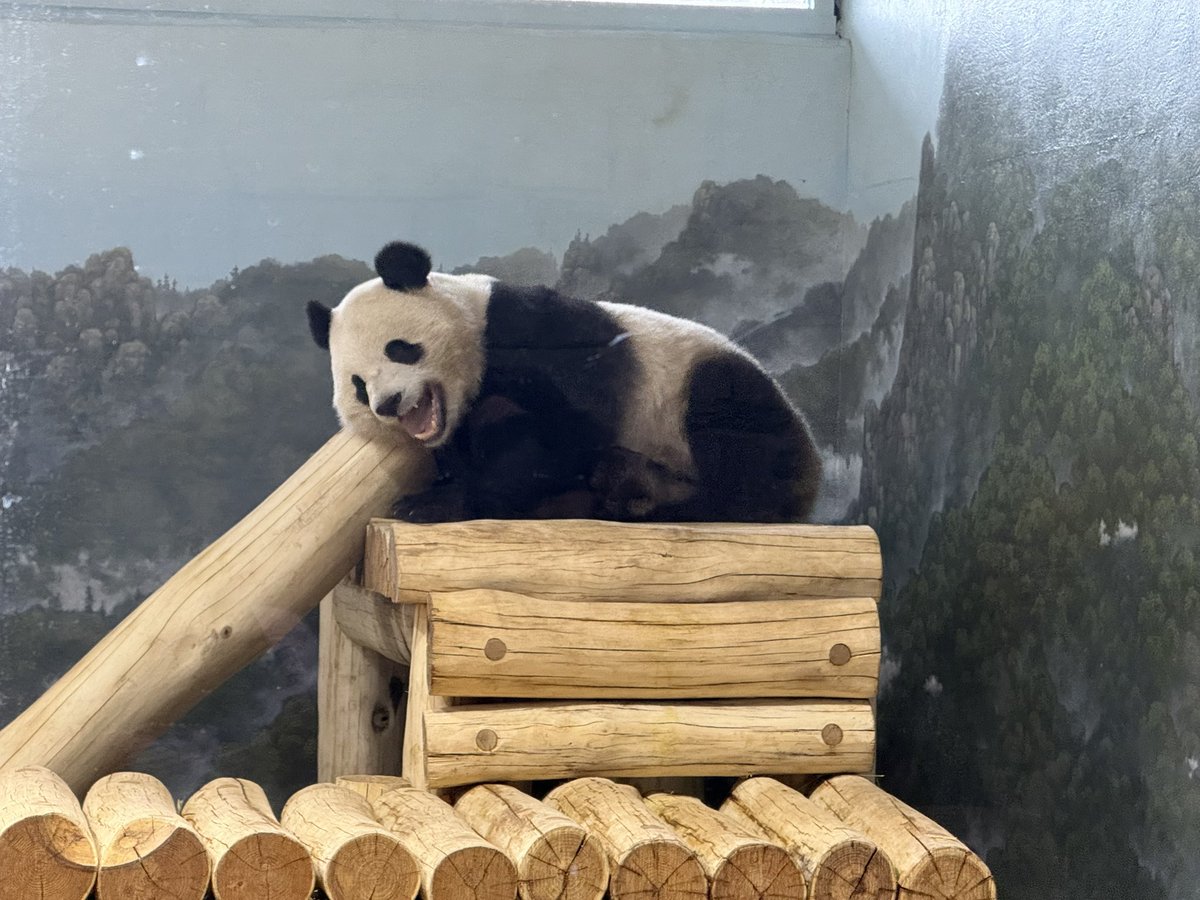 Toby Gordon tweet media