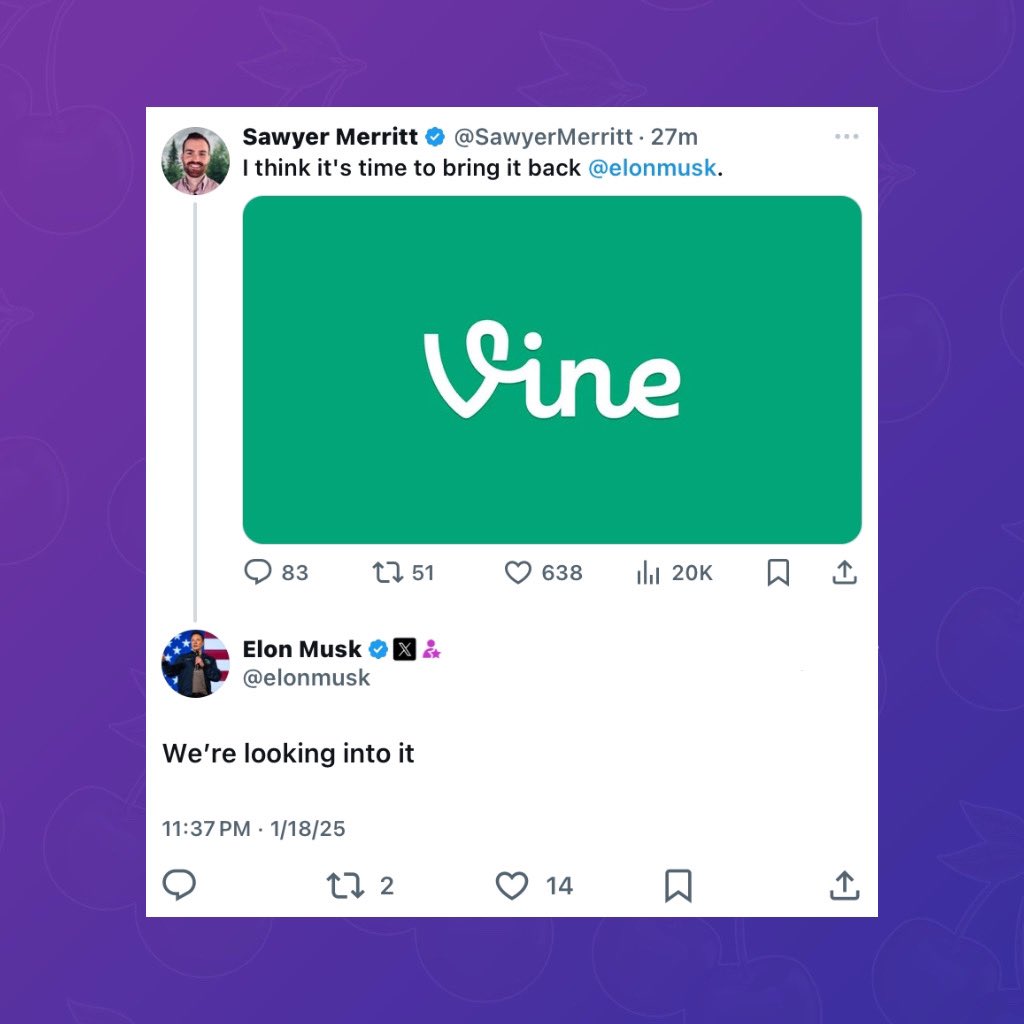 PopBase's tweet image. Elon Musk says he’s looking into bringing Vine back.