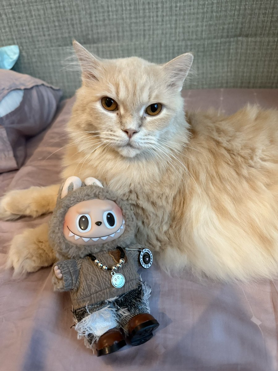 Champion with his own labuBu 😆🫣🤭