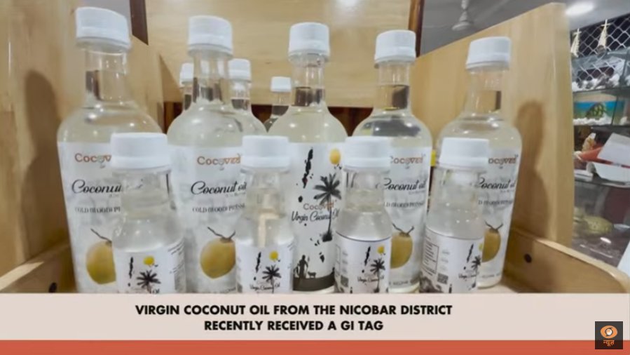 ANI's tweet photo. In the 118th Episode of Mann Ki Baat, Prime Minister Narendra Modi says, "Virgin coconut oil from the Nicobar district recently received the GI tag. A new initiative has been launched, following this achievement.  Women involved in the production of the oil are being inducted into self-help groups, and they are receiving specialised training in marketing and branding. This is a significant step towards economically empowering our tribal communities."