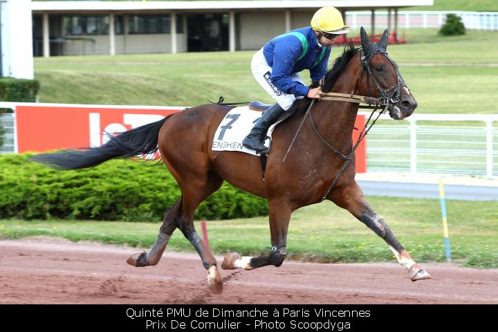 TurfomaniaFR's tweet photo. Pronostic Quinté+ PMU de Dimanche à Paris Vincennes : IDEALE DU CHENE dans le Prix De Cornulier est à suivre
#Quinté https://t.co/UogoE2Odsd https://t.co/ZWElvPwCCQ