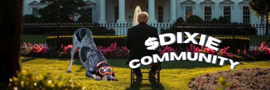 blockchain0786's tweet photo. $DIXIE from rescue Dog to meet Donald Trump. 🐾🦮

The dog with thousands of followers, his own TV show and a huge fan base around the globe. 🌍

CA: 9MQtv9kQ6j6C2hfBbiFmnTWYC4Aj3oLmiBotBkJGpump

Chart: https://t.co/J6uNEHDCaV…

Website: https://t.co/stSJPsKLqb

Telegram: https://t.co/j5st7PIfGH…

Twitter: https://t.co/ndSPqGzynw