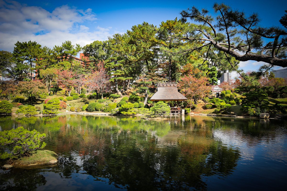 PosePhotograph's tweet photo. 縮景園⛩

 #カメラ好きな人と繋がりたい  #写真好きな人と繫がりたい  #ファインダー越しの私の世界ᅠ  #風景写真  #色んな写真見せて https://t.co/zqskOy1Aiu
