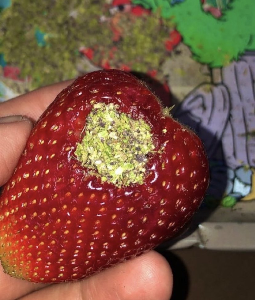 STONERS R US 🍃 tweet media