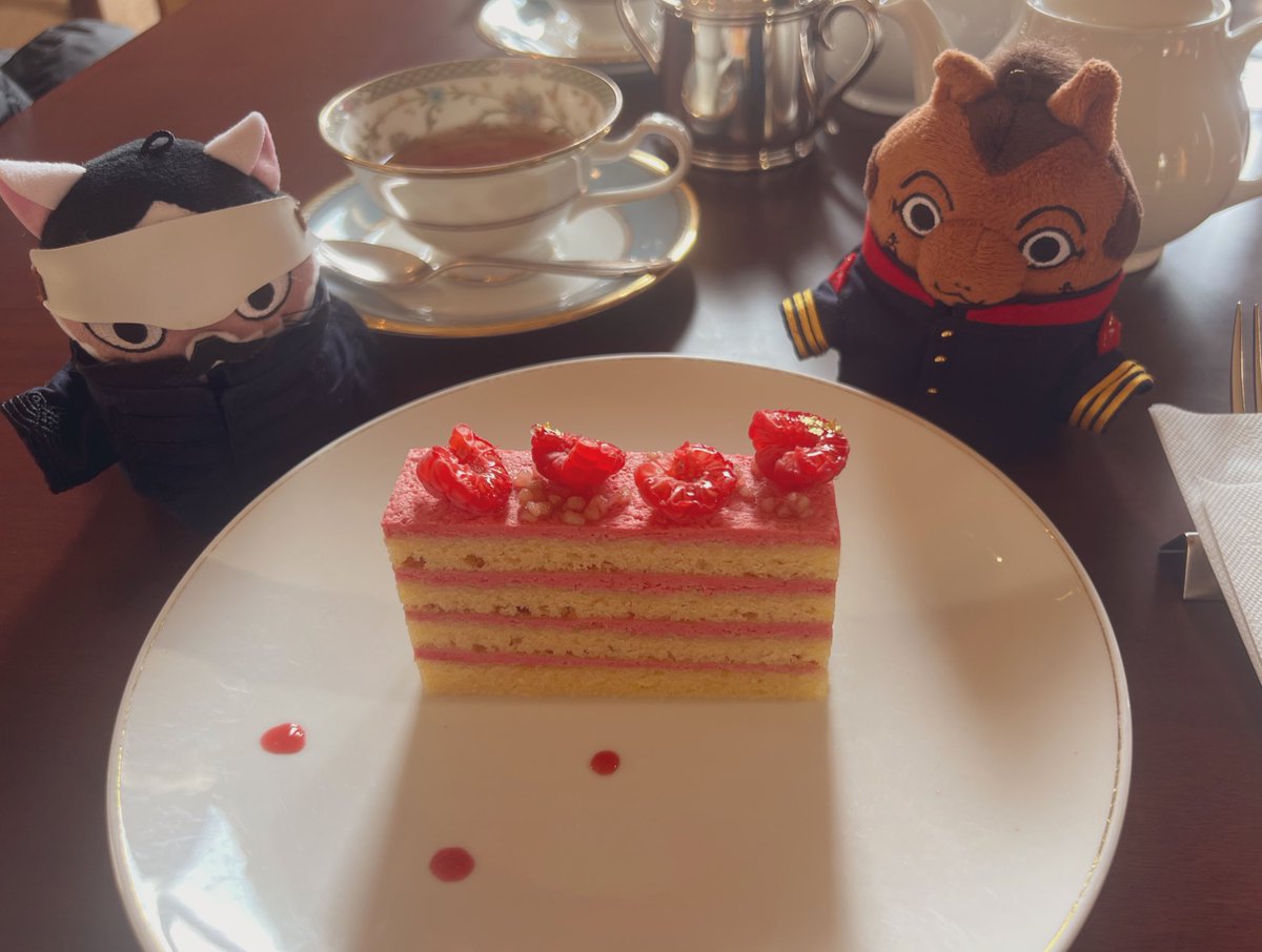 ケーキ美味しかったね！ﾌｫｾﾞたち🥰🫶🏻