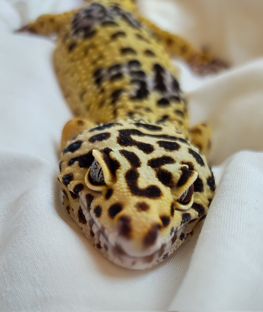 午前中流れなかったヤツ😅