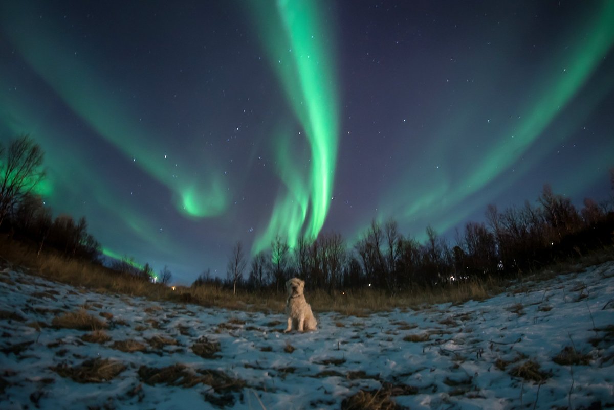 Can't believe it's been five years. 
I miss my boy.