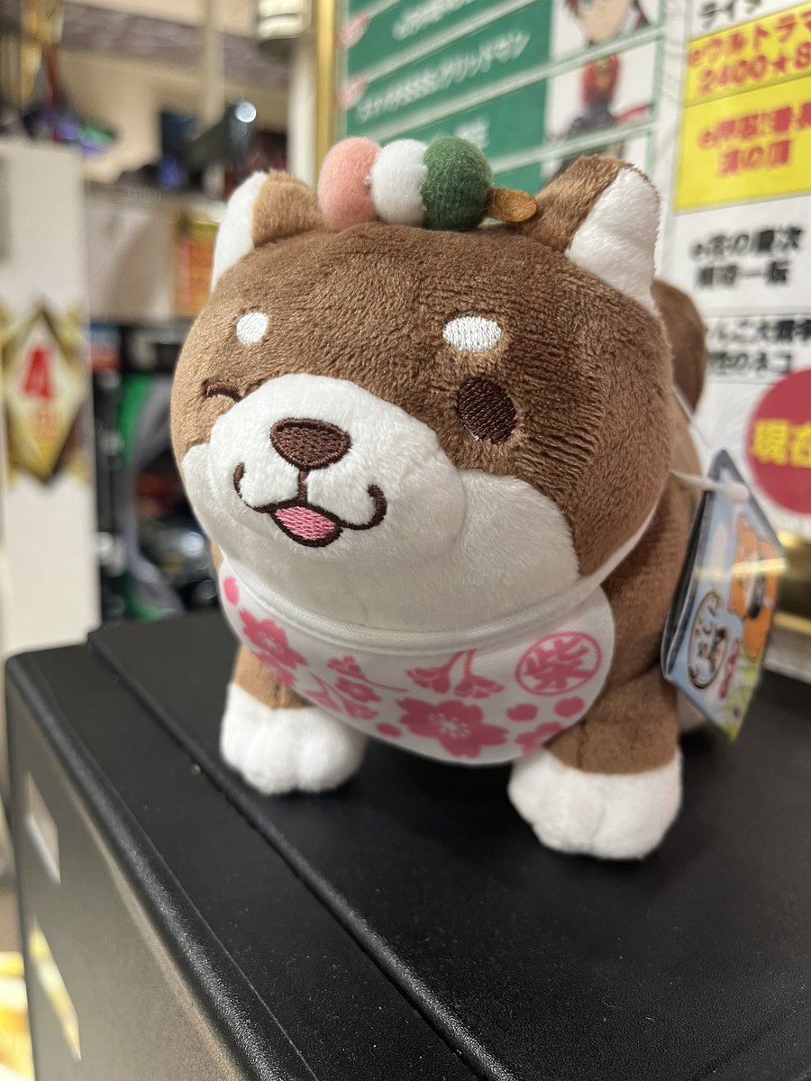 なーちゃん ① Geu0PJAbsAA3W6b.jpg