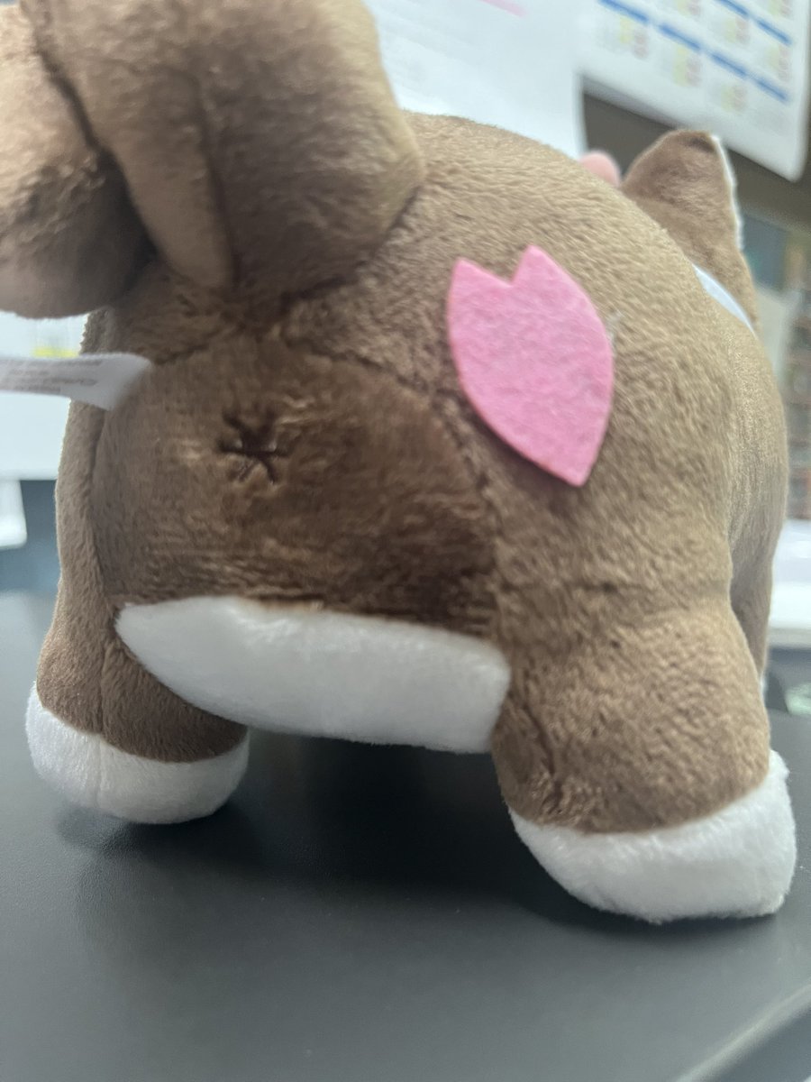 なーちゃん一日店長 – търсене / X