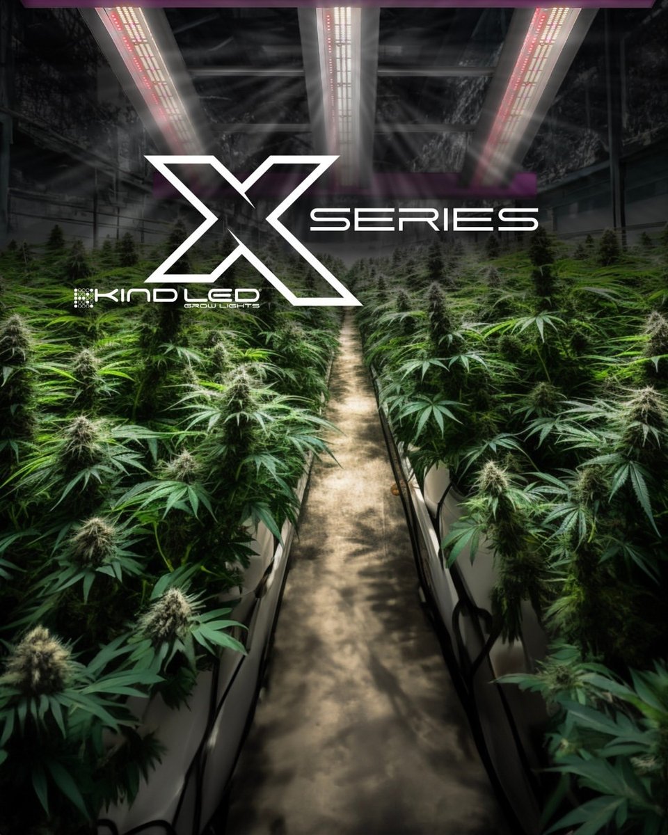 Let the Kind factor shine on your plants with the #kindledgrowlights X Series! 🌱✨ Unleash the power of tunable targeted full spectrum and watch your garden flourish like never before. 

Say hello to bigger yields, and brighter buds!

🔗 bit.ly/KINDLED