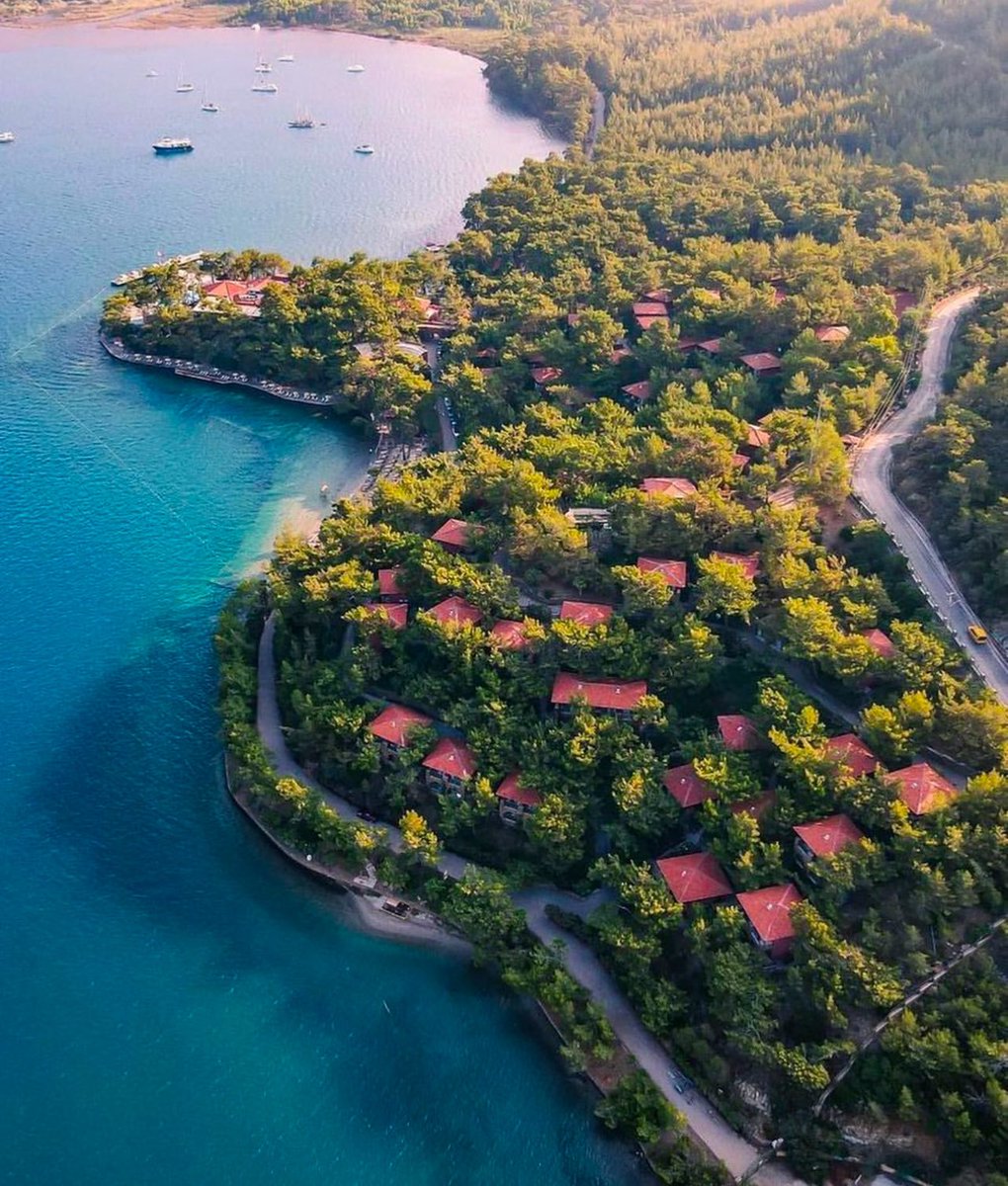Temiz hava hastanesi gibi. Bol yeşillikler 🦜🦆🪿🐢🐦🦈🦋🐛🐝🐜🌹🏵🪷💮🌸💐