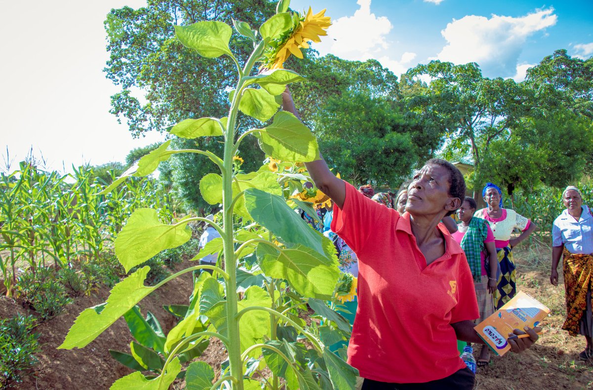 Amanubo Amos (@amanubo) on Twitter photo 🚨<a href="/grp_resilience/">globalresilience.bsky.social</a> with partners, invite agricultural innovators in East Africa to apply for the Resilient Agriculture Innovations for Nature (RAIN) challenge.
📢The call is open to not-for-profit organisations across public, local civil society, international NGOs and academia, 🚨<a href="/grp_resilience/">globalresilience.bsky.social</a> with partners, invite agricultural innovators in East Africa to apply for the Resilient Agriculture Innovations for Nature (RAIN) challenge.
📢The call is open to not-for-profit organisations across public, local civil society, international NGOs and academia,