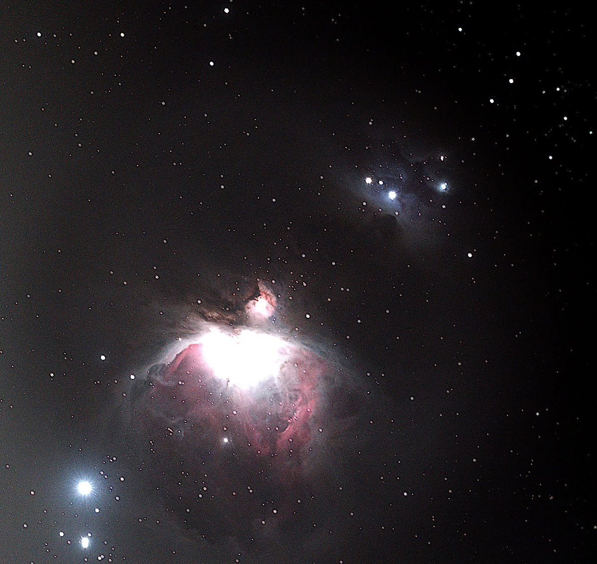 Mike Shaw tweet media