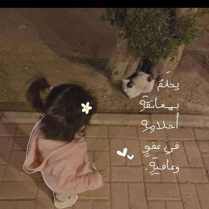 انسان يحلم بمعانقه أحلامه 🥹♥️♥️♥️