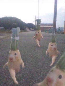 4Kの時代は終わり

時代はこいつ