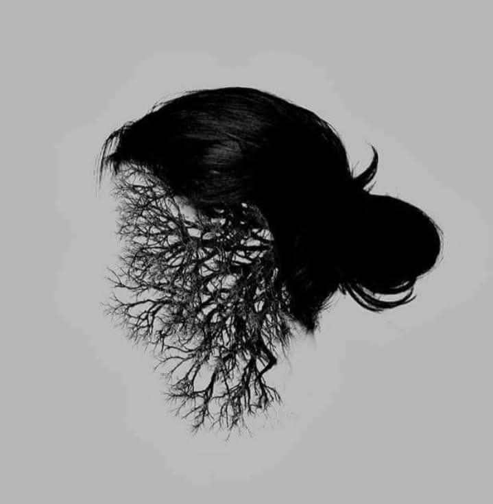 j.j. de oliveira tweet media