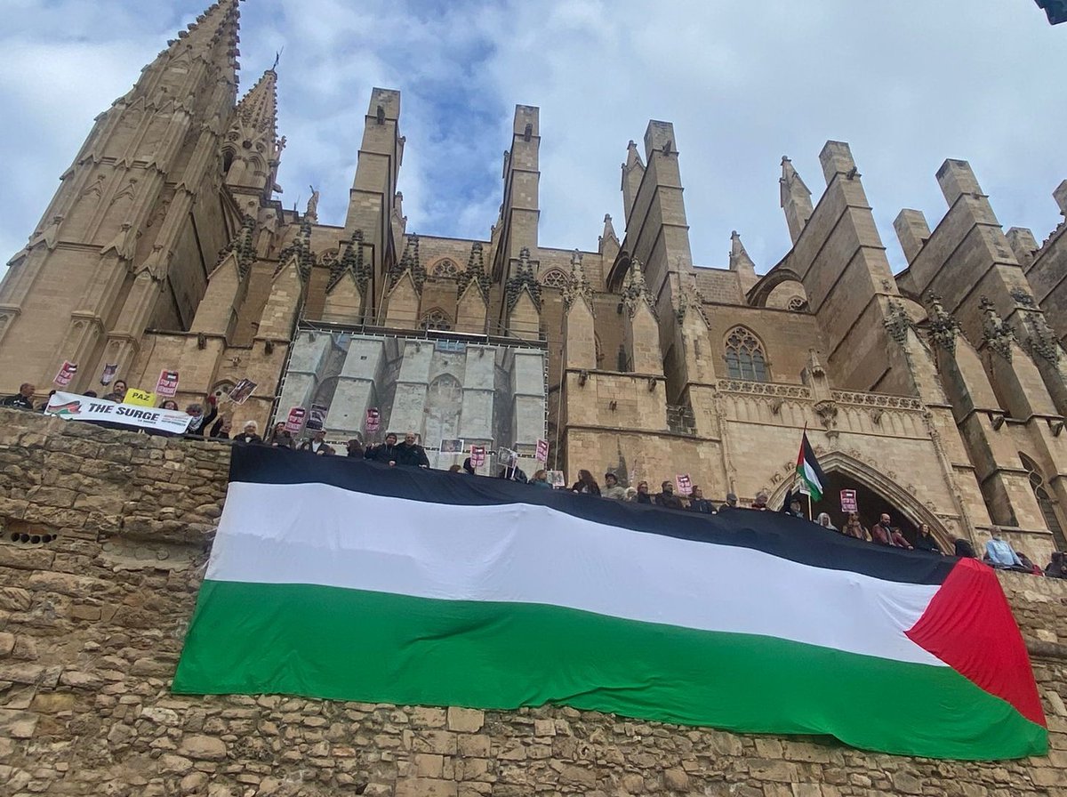 Ayer participamos en la concentración en Palma, para exigir el fin de la guerra en Palestina y en el resto del planeta, el rechazo al fascismo y para tomar medidas urgentes contra el cambio climático.
<a href="/greenpeace_esp/">Greenpeace España</a>