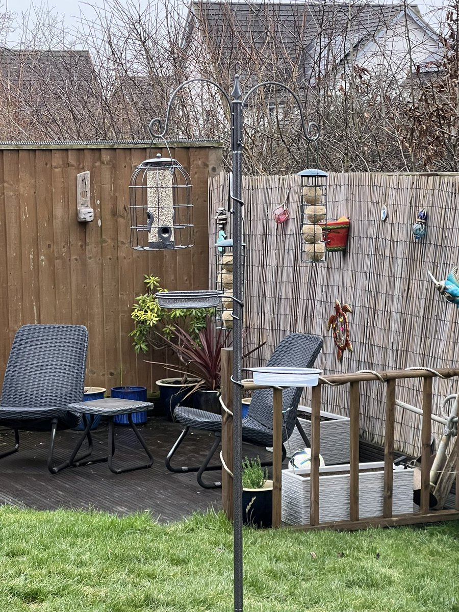 Getting my feeder station set up and ready for the #BGBW2025 <a href="/Natures_Voice/">RSPB</a> let’s hope they find it in time!! 🐦‍⬛🦅🦉🦆🐦