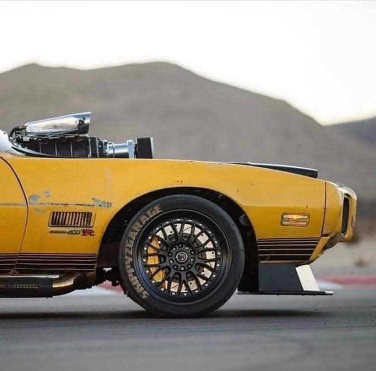 RoXie 🐱💄 tweet media