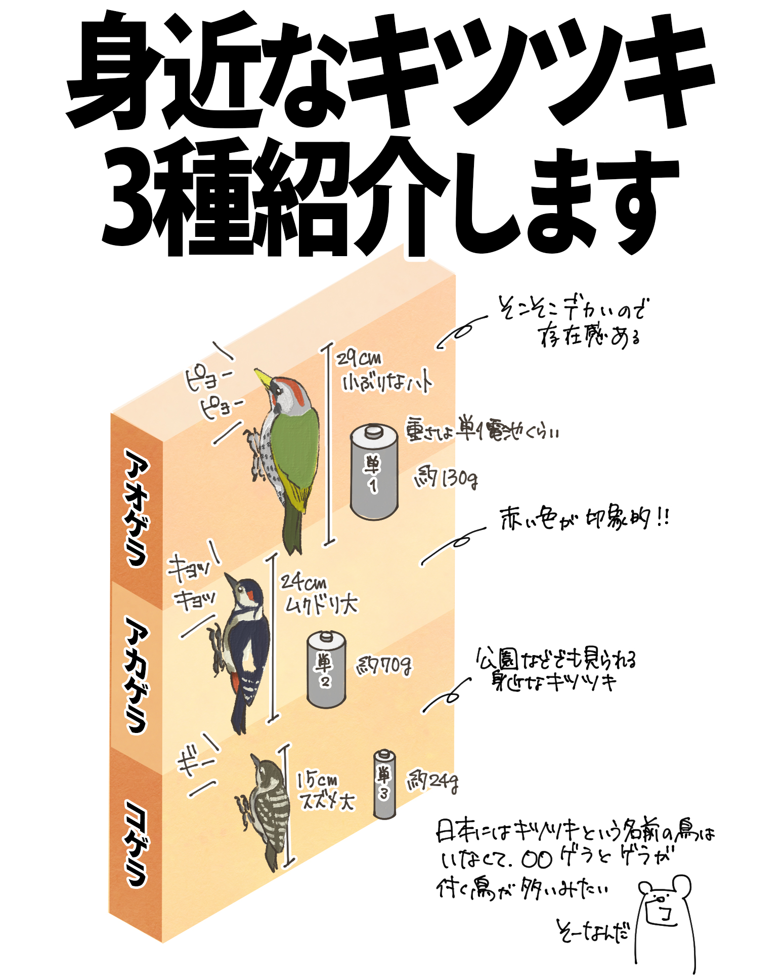 自然ガイドのネタ帳 on X: 