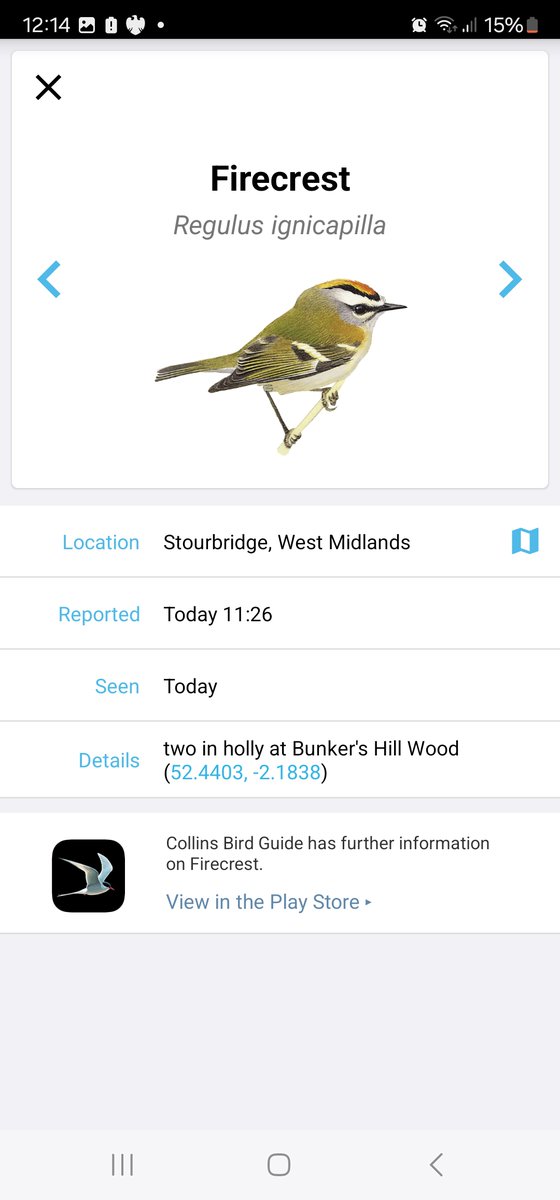 Gareth Clements tweet media