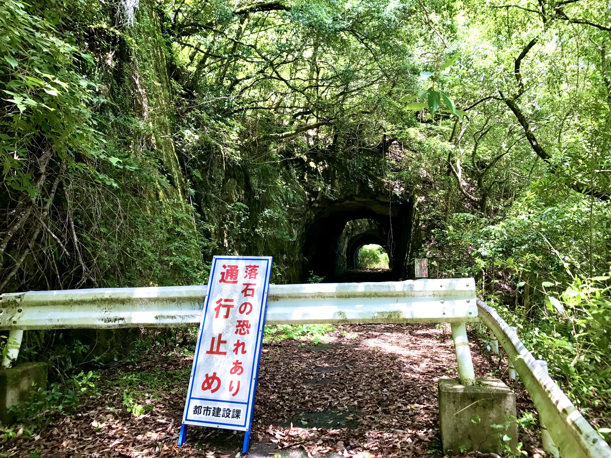 おさじん on X: おさじん on X: