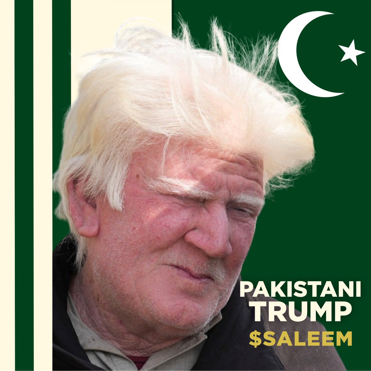 Pakistani Trump Saleem tweet media