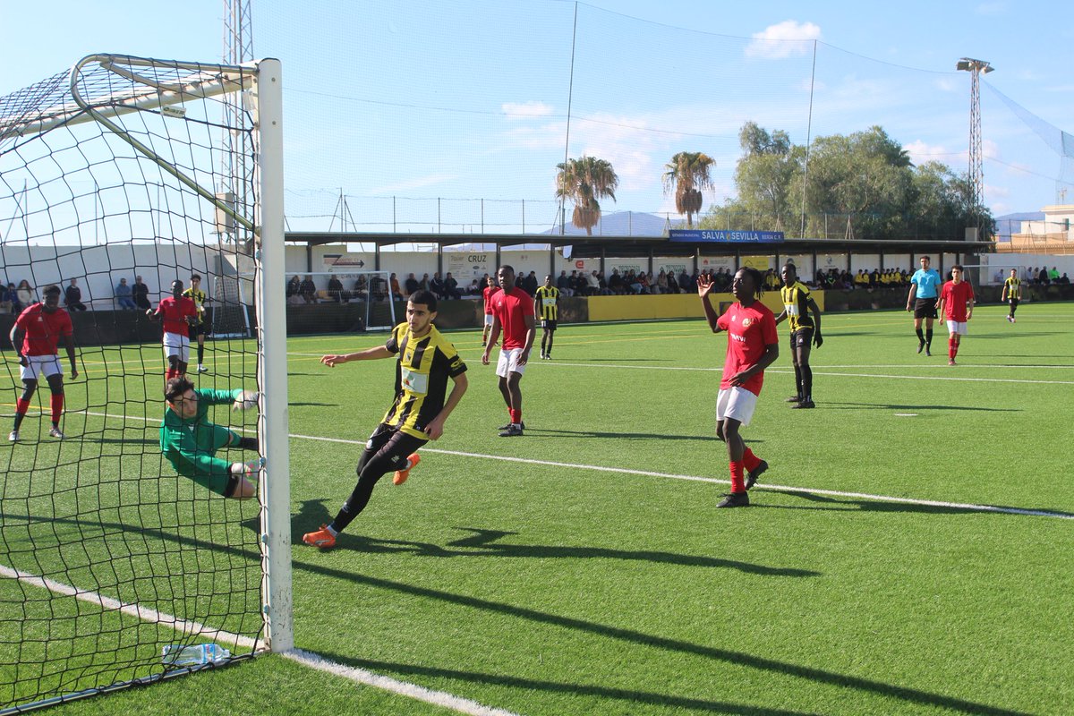 BERJA C.F. tweet media