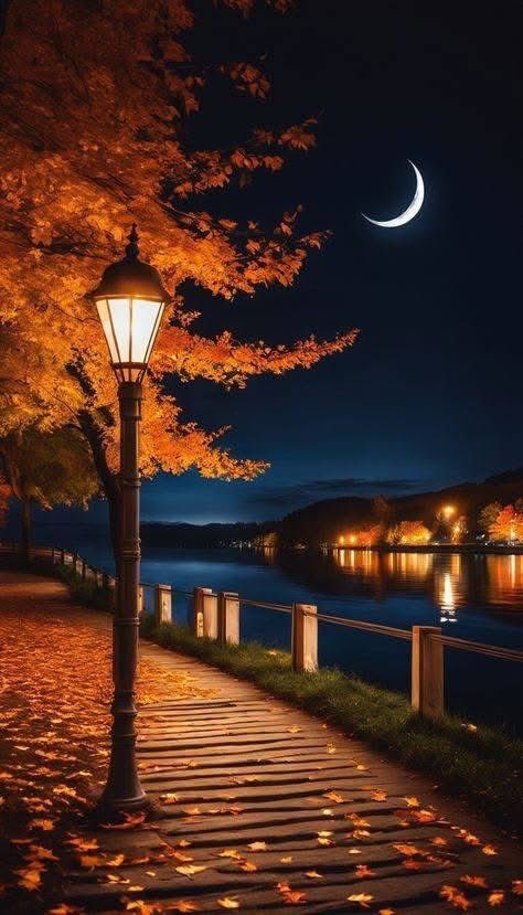 enkhlen_n's tweet photo. Тавтай сайхан амраарай✨
#GoodNightX #Twitterword https://t.co/VVb2AWNdQ5