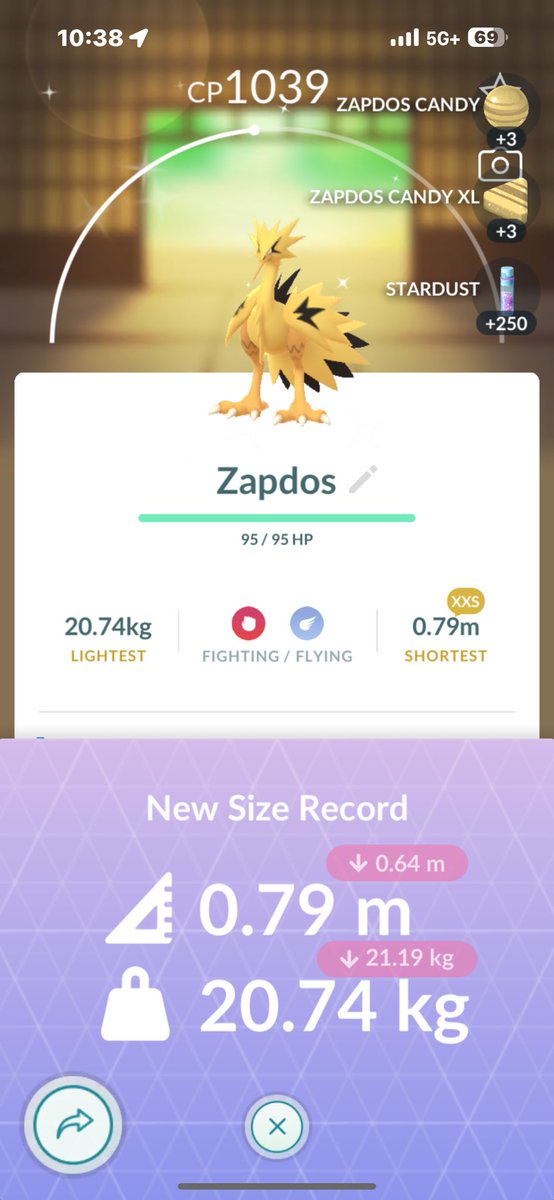 SilverFox242422's tweet photo. i haven’t been active in awhile with starting school again, but omg!!!!😱😍

XXS SHINY GALARIAN ZAPDOS 😭✨ 

this is my first shiny bird!!! :) i’m bummed about tiktok being banned… so this was a nice surprise :’) https://t.co/sWGPMzAvpb