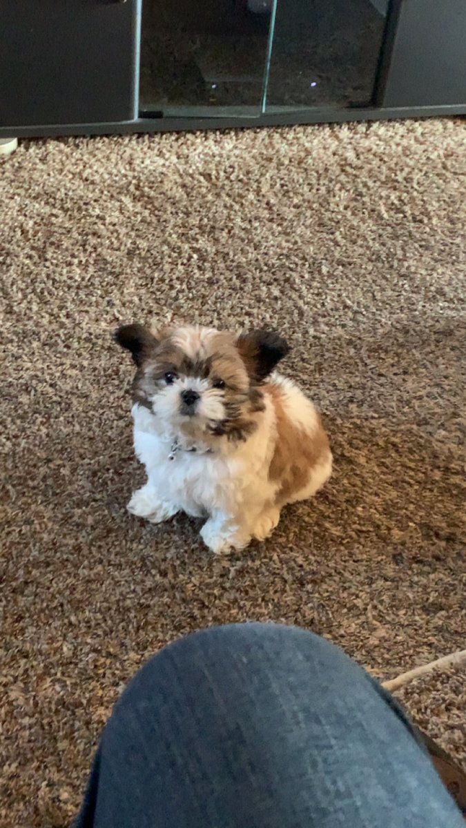 Jimmy (@jpero89) on Twitter photo 