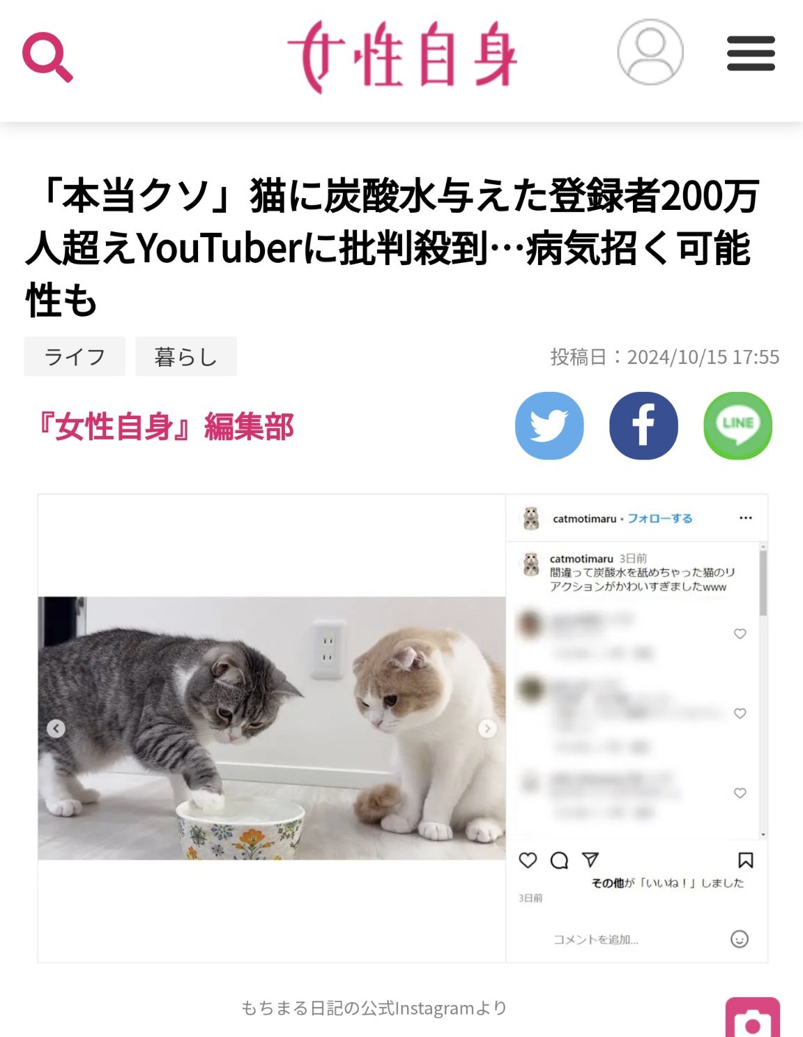 ペットショップ店員 on X: ペットショップ店員 on X: