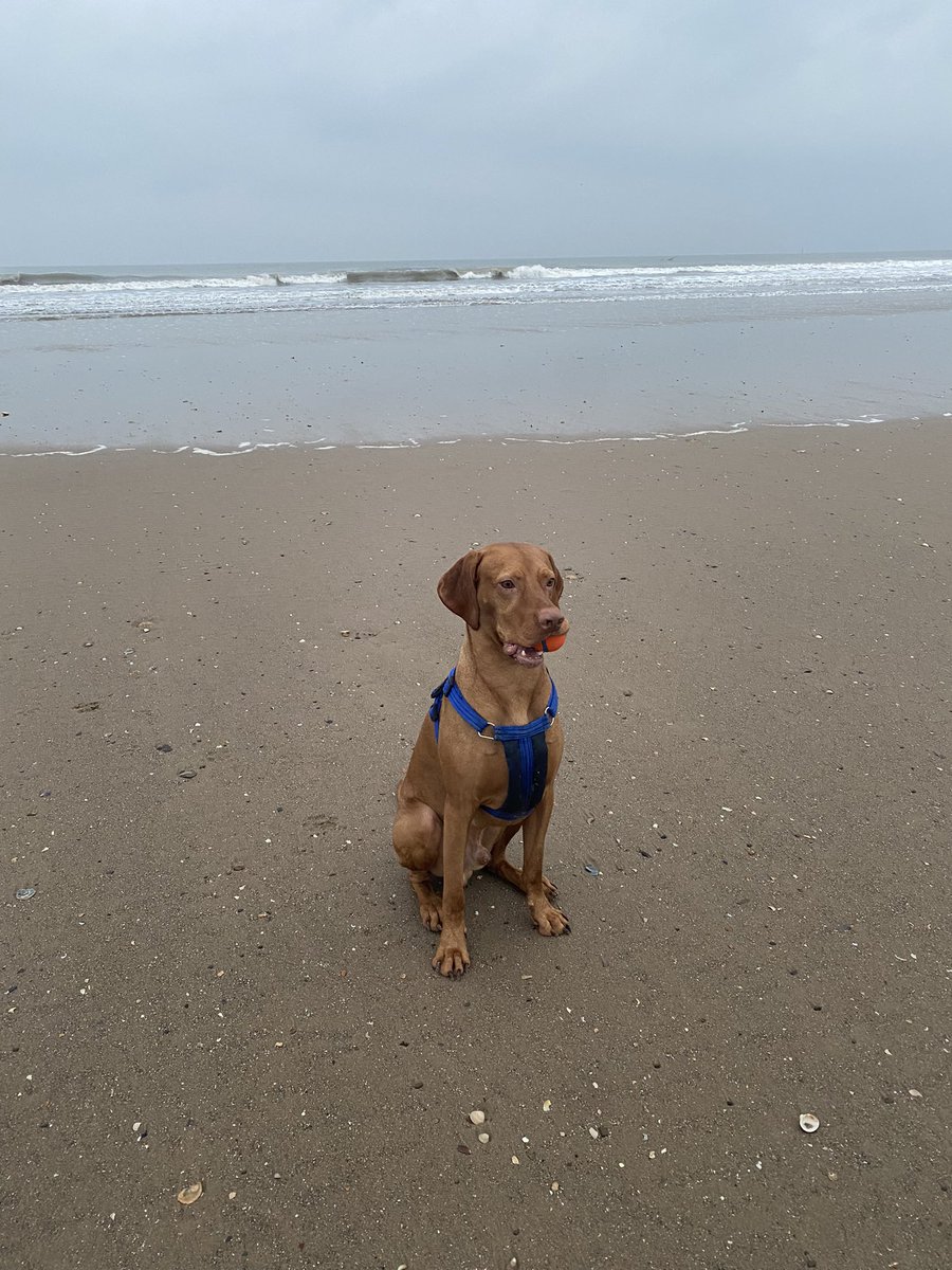 simon10of7's tweet image. Early one down the beach reflecting on a tough day yesterday!!!