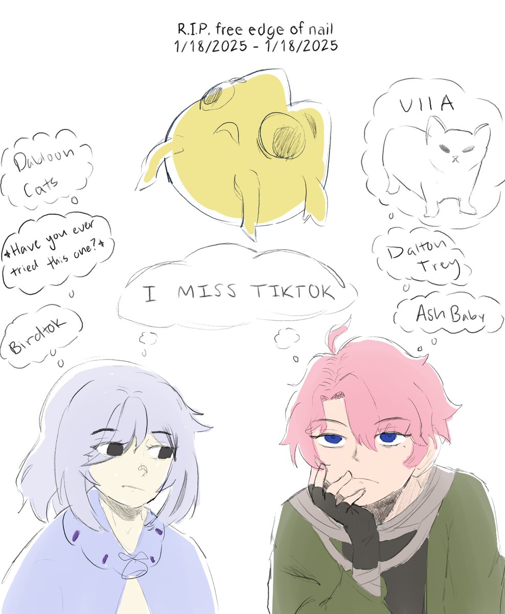 chipimpo's tweet image. rare twt post but i needed to tag the burb girl.
 
today was a horrible day for tiktok to end 

merdy and i hit 169 days and had finally got our first streak pet. what timing.