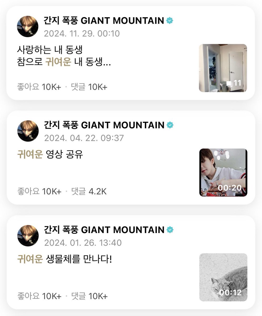 mudngsan's tweet photo. 한태산이 귀여워하는 거
길냥이
김운학 https://t.co/XhgHMIJVa3