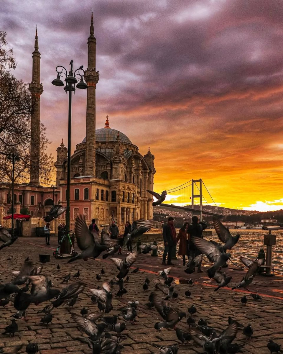 Good morning İstanbul .....🧡 

📸 : hasankaptan 👏