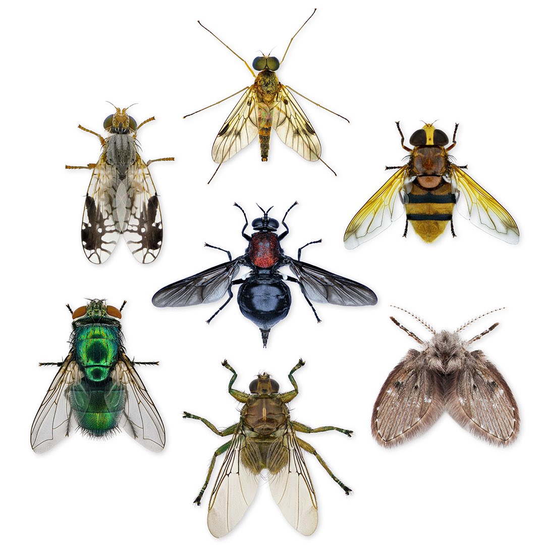 Thorben Danke tweet media