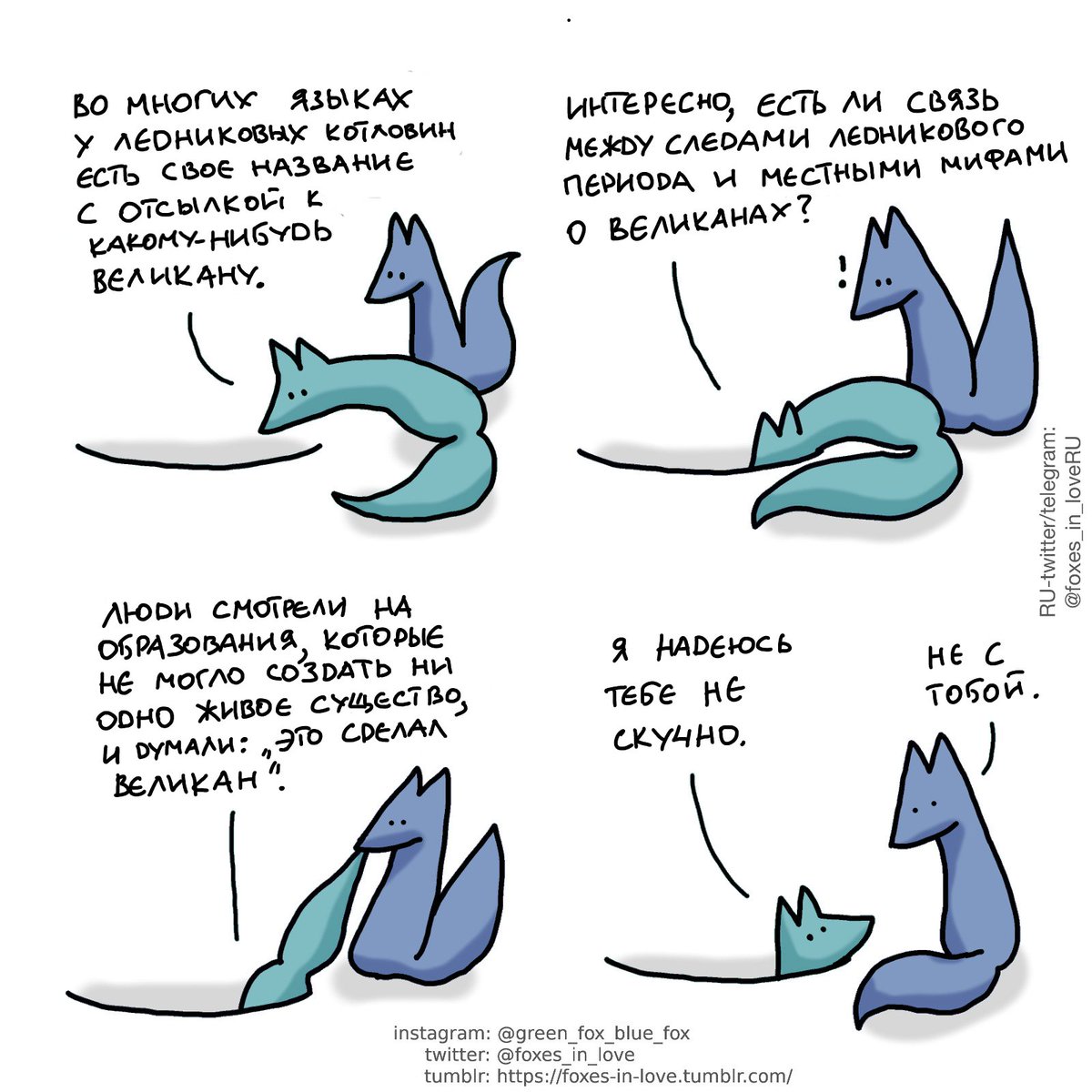 Влюбленные лисы (@foxes_in_loveru) on Twitter photo 