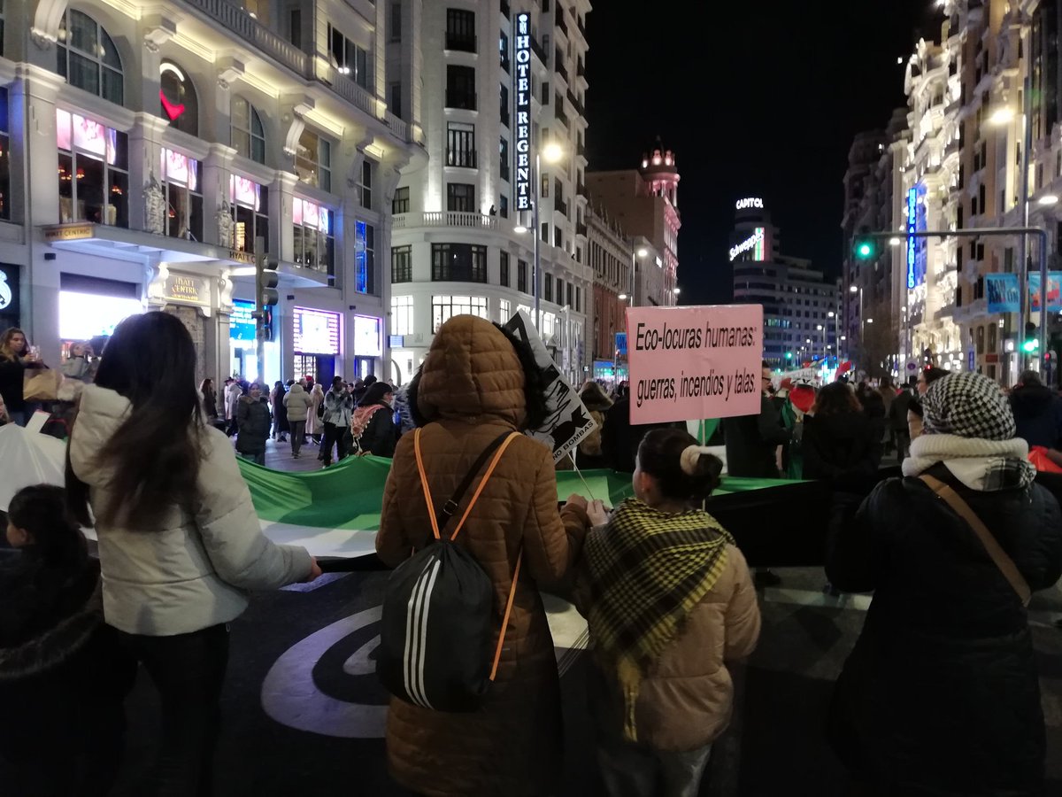 botella_eva's tweet photo. Miles de personas vuelven a manifestarse en Madrid
#TheSurge  
📢 Exigimos el FIN del #GenocidioEnPalestina y el embargo integral de armas a Israel.

⚫️ #ParemosElGenocidio 
🔴 #StopArmasConIsrael 
🟢 #PalestinaLibre https://t.co/gLFO28rknr