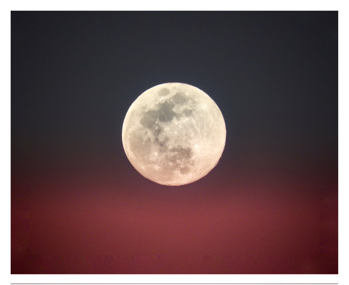 RFacktv's tweet photo. Photomoon
#photography #photomoon #nikon https://t.co/3PWlM8SGCx